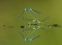 BUITEN BEELD Foto: 99544
