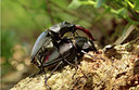 BUITEN BEELD Foto: 99564