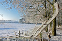 BUITEN BEELD Foto: 99580