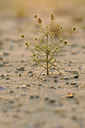 BUITEN BEELD Foto: 99591