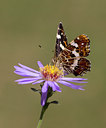 BUITEN BEELD Foto: 99608