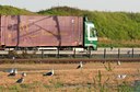 BUITEN BEELD Foto: 99633