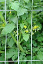BUITEN BEELD Foto: 99683