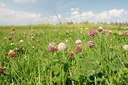 BUITEN BEELD Foto: 99702