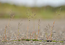 BUITEN BEELD Foto: 99708