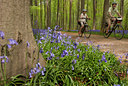 BUITEN BEELD Foto: 99744