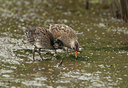 BUITEN BEELD Foto: 99748