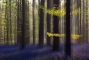 BUITEN BEELD Foto: 99762