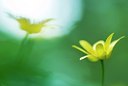 BUITEN BEELD Foto: 99783
