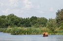 BUITEN BEELD Foto: 99793