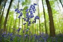 BUITEN BEELD Foto: 99797