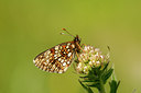 BUITEN BEELD Foto: 99824