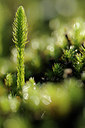 BUITEN BEELD Foto: 99875