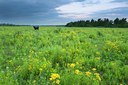 BUITEN BEELD Foto: 99936