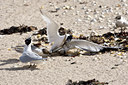 BUITEN BEELD Foto: 99971