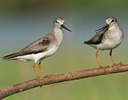 BUITEN BEELD Foto: 99982
