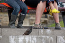 BUITEN BEELD Foto: 99989