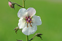 BUITEN BEELD Foto: 99999