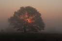 BUITEN BEELD Foto: 100031