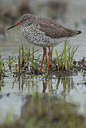 BUITEN BEELD Foto: 100044