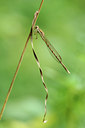 BUITEN BEELD Foto: 100073