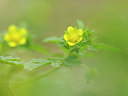 BUITEN BEELD Foto: 100204