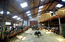 BUITEN BEELD Foto: 100243
