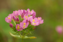 BUITEN BEELD Foto: 100256