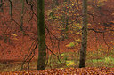BUITEN BEELD Foto: 100282