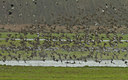 BUITEN BEELD Foto: 100335