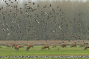BUITEN BEELD Foto: 100337