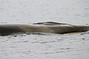 BUITEN BEELD Foto: 100507