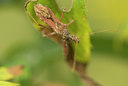 BUITEN BEELD Foto: 100554
