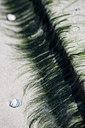 BUITEN BEELD Foto: 100632