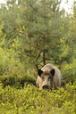 BUITEN BEELD Foto: 100706