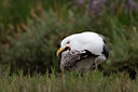 BUITEN BEELD Foto: 100752