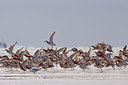 BUITEN BEELD Foto: 100762