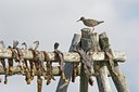 BUITEN BEELD Foto: 100837