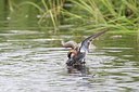 BUITEN BEELD Foto: 100844