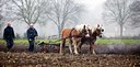 BUITEN BEELD Foto: 100881
