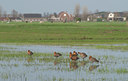 BUITEN BEELD Foto: 100903