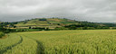BUITEN BEELD Foto: 100922