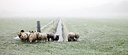 BUITEN BEELD Foto: 100971