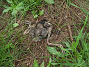 BUITEN BEELD Foto: 101019