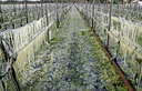 BUITEN BEELD Foto: 101035
