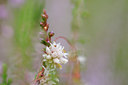 BUITEN BEELD Foto: 101091