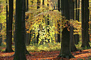 BUITEN BEELD Foto: 101203