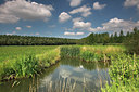 BUITEN BEELD Foto: 101320