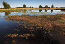 BUITEN BEELD Foto: 101327