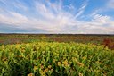 BUITEN BEELD Foto: 101353